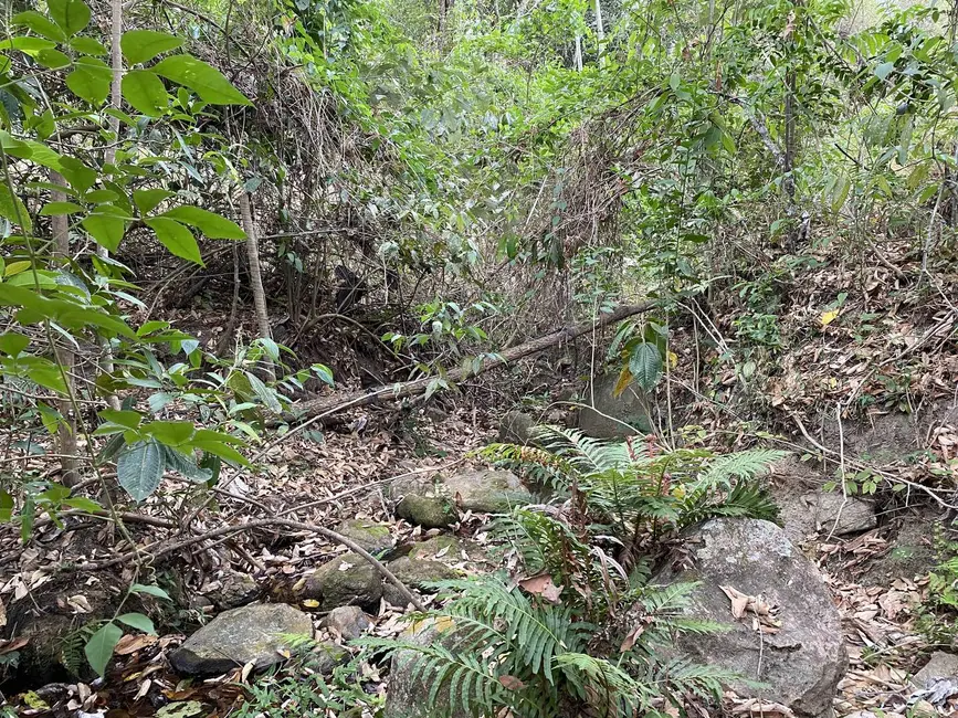 Terreno / Lote à venda em Santo Antonio Do Monte - MG - imagem 5 Foto 5 de Terreno / Lote à venda em Santo Antonio Do Monte - MG