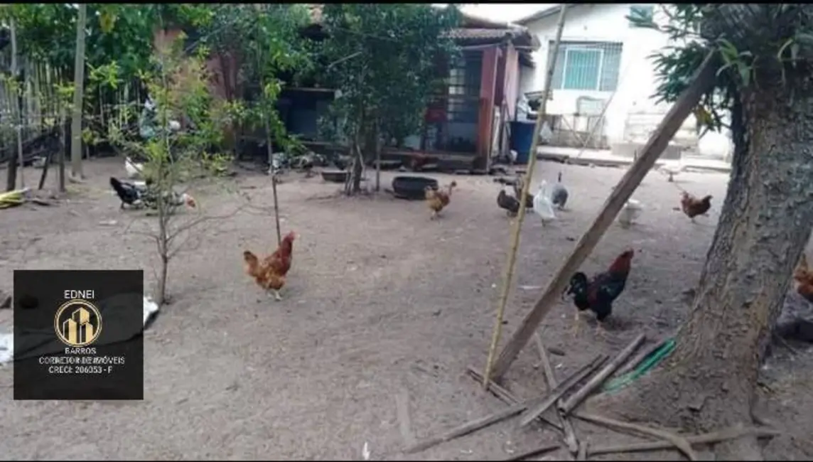 Chácara à venda, 3400m2 em Área Rural de Itapetininga, Itapetininga - SP - imagem 8 Foto 8 de Chácara à venda, 3400m2 em Área Rural de Itapetininga, Itapetininga - SP