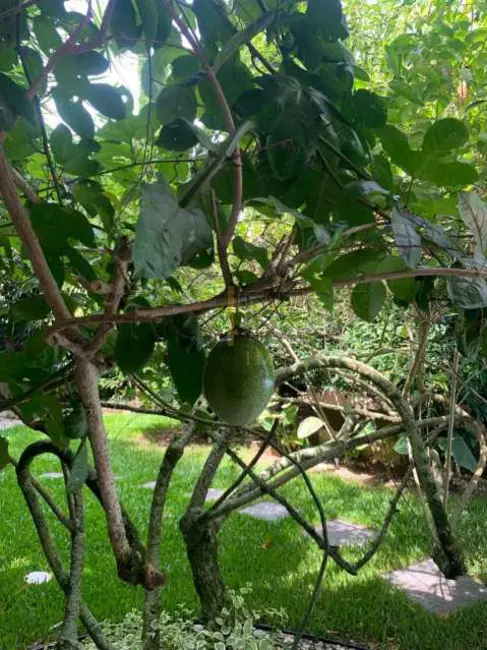 Foto 8 de Casa de Condomínio com 5 quartos para alugar, 450m2 em Rio De Janeiro - RJ