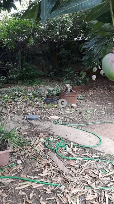 Foto 8 de Casa com 3 quartos à venda, 555m2 em Parque Santa Bárbara, Campinas - SP