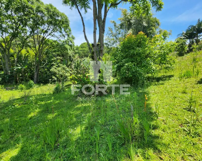 Foto 4 de Chácara com 2 quartos à venda, 2000m2 em Cidade Edson, Suzano - SP