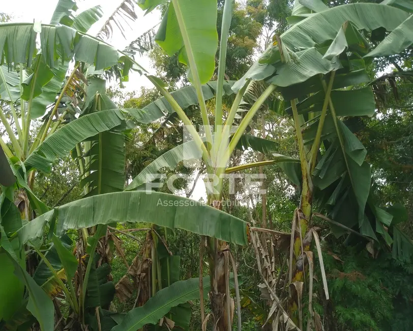 Foto 6 de Chácara com 2 quartos à venda, 90m2 em Mogi Das Cruzes - SP