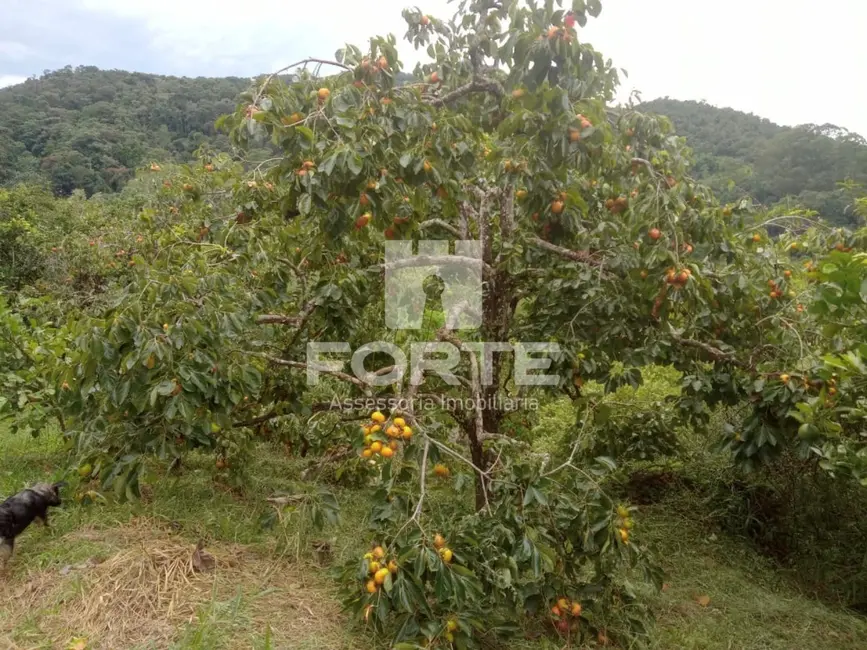 Foto 9 de Sítio / Rancho com 1 quarto à venda, 200000m2 em Jardim Aracy, Mogi Das Cruzes - SP
