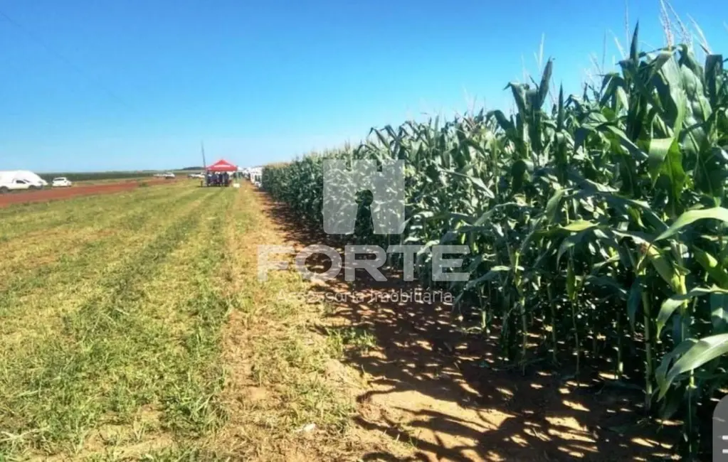 Foto 4 de Fazenda / Haras com 3 quartos à venda, 200m2 em Porto Alegre Do Norte - MT