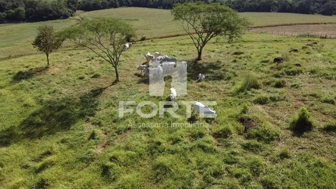 Foto 5 de Fazenda / Haras com 4 quartos à venda, 84m2 em Sertanopolis - PR