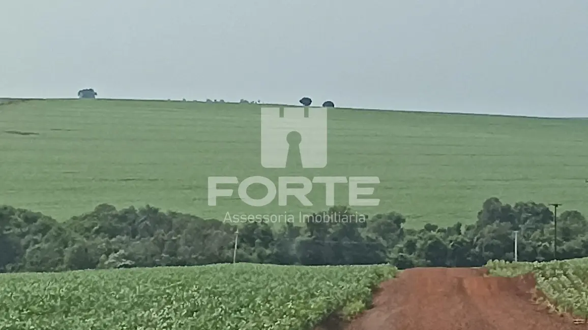 Foto 7 de Fazenda / Haras com 4 quartos à venda, 84m2 em Sertanopolis - PR