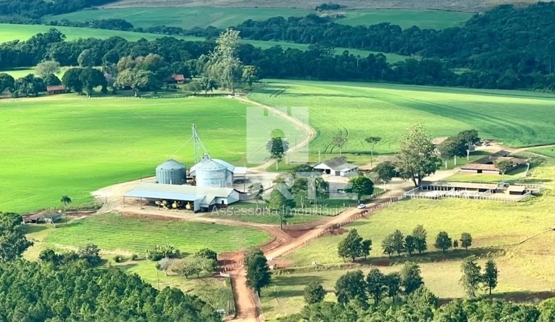 Foto 2 de Fazenda / Haras com 3 quartos à venda, 1722m2 em Tomazina - PR