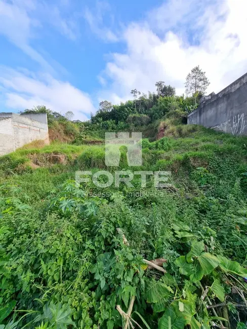 Foto 4 de Terreno / Lote à venda, 500m2 em Vila Pomar, Mogi Das Cruzes - SP
