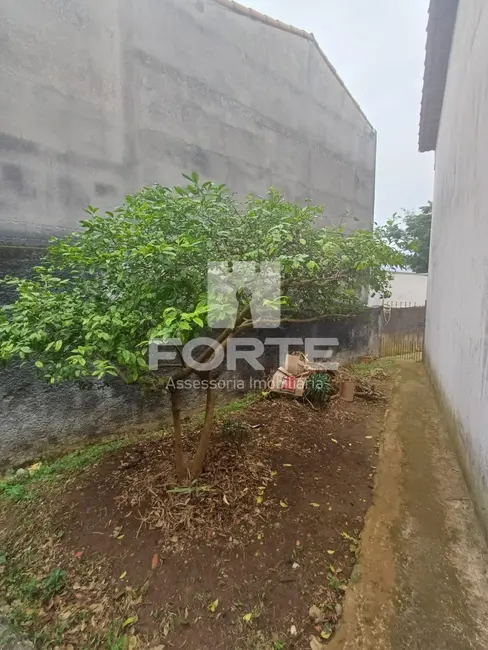 Foto 5 de Casa com 3 quartos à venda, 502m2 em Jardim Universo, Mogi Das Cruzes - SP