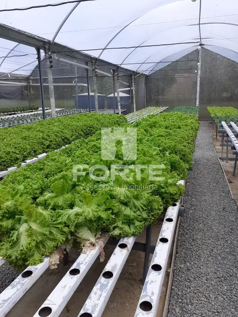 Foto 4 de Sítio / Rancho com 3 quartos à venda, 190m2 em Mogi Das Cruzes - SP