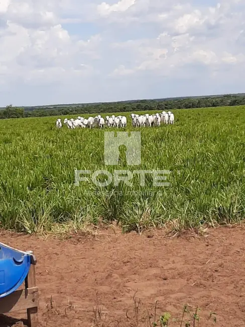 Foto 1 de Fazenda / Haras com 3 quartos à venda, 3585m2 em Paraiso Do Tocantins - TO