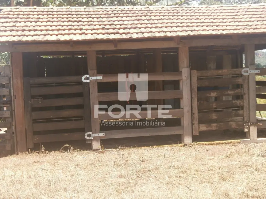 Fazenda / Haras com 11 quartos à venda, 3900m2 em Goiatins - TO - imagem 7 Foto 7 de Fazenda / Haras com 11 quartos à venda, 3900m2 em Goiatins - TO