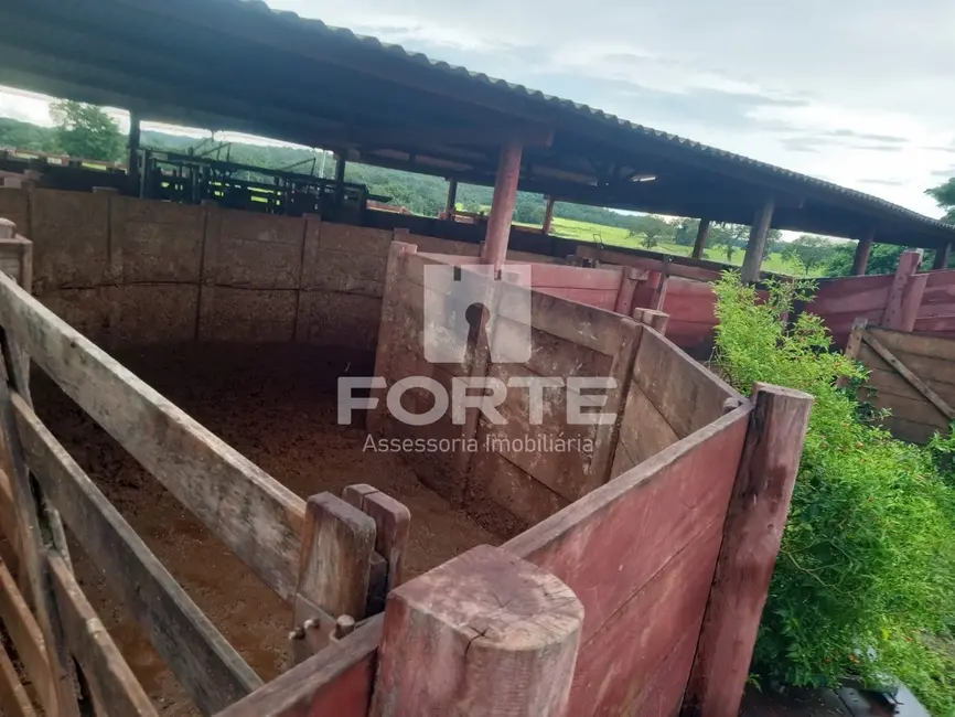 Fazenda / Haras com 11 quartos à venda, 3900m2 em Goiatins - TO - imagem 4 Foto 4 de Fazenda / Haras com 11 quartos à venda, 3900m2 em Goiatins - TO