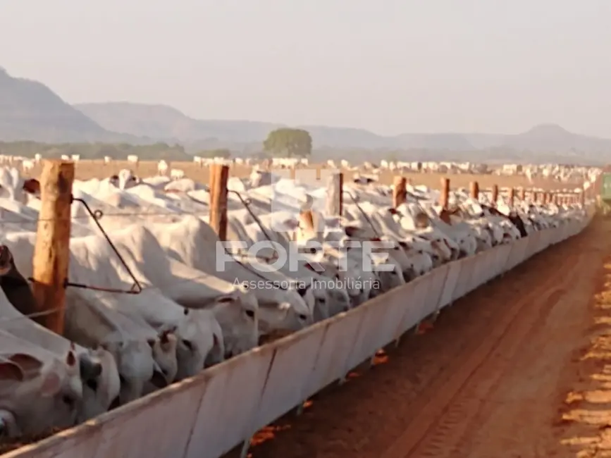 Foto 1 de Fazenda / Haras com 11 quartos à venda, 3900m2 em Goiatins, TO