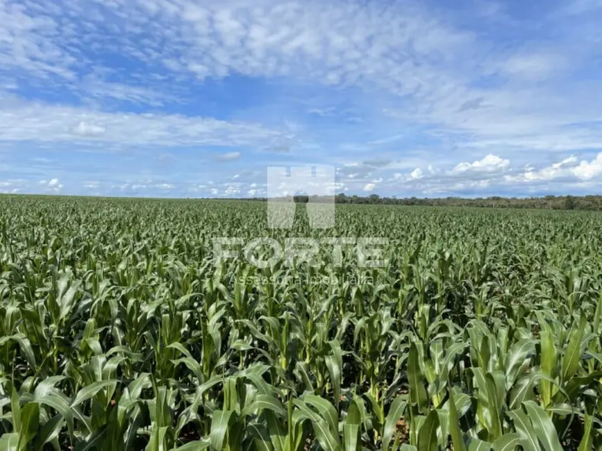 Foto 5 de Fazenda / Haras com 6 quartos à venda, 582m2 em Goiatins - TO