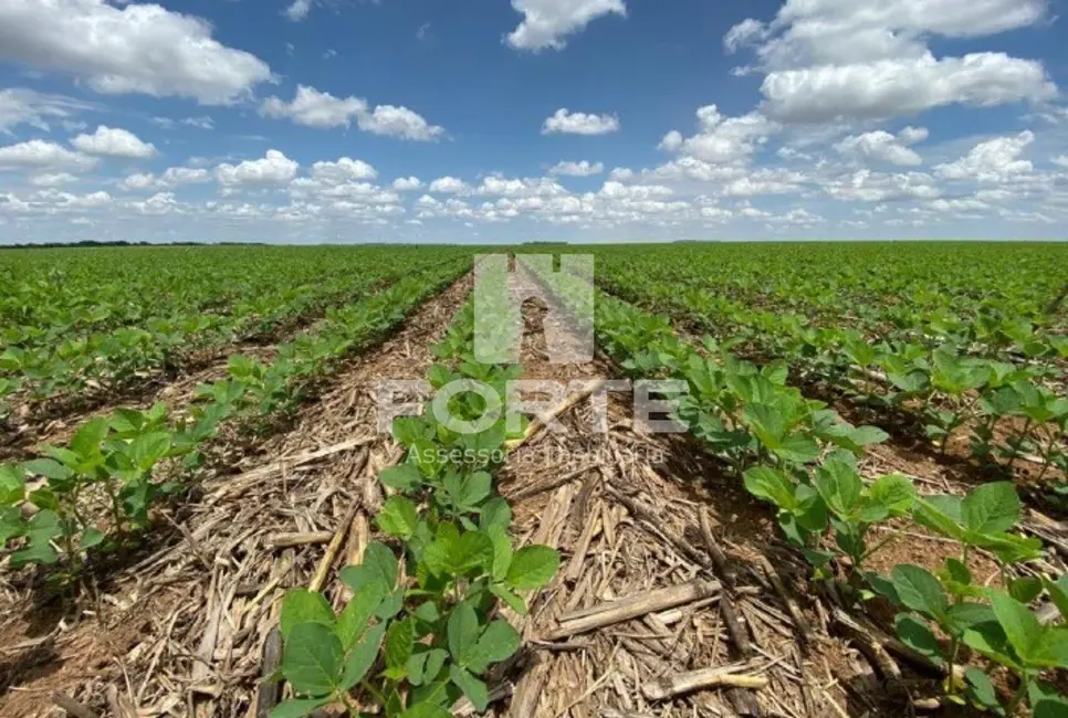 Foto 1 de Fazenda / Haras com 6 quartos à venda, 582m2 em Goiatins - TO