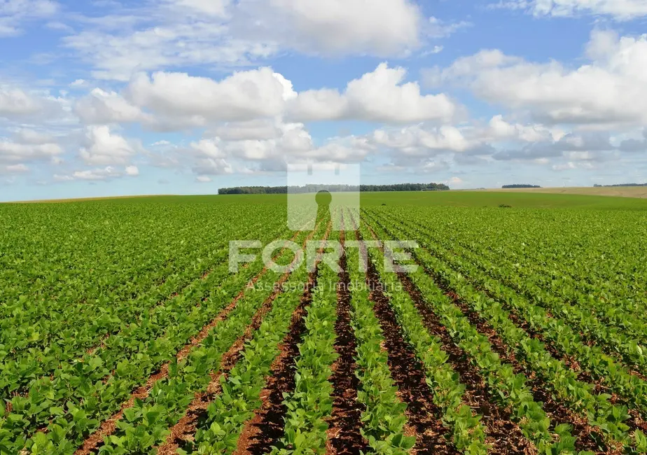 Foto 4 de Fazenda / Haras com 6 quartos à venda, 582m2 em Goiatins - TO