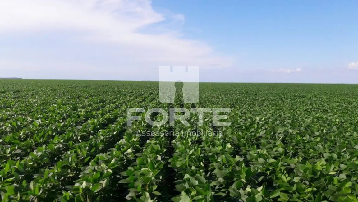 Foto 3 de Fazenda / Haras com 6 quartos à venda, 582m2 em Goiatins - TO