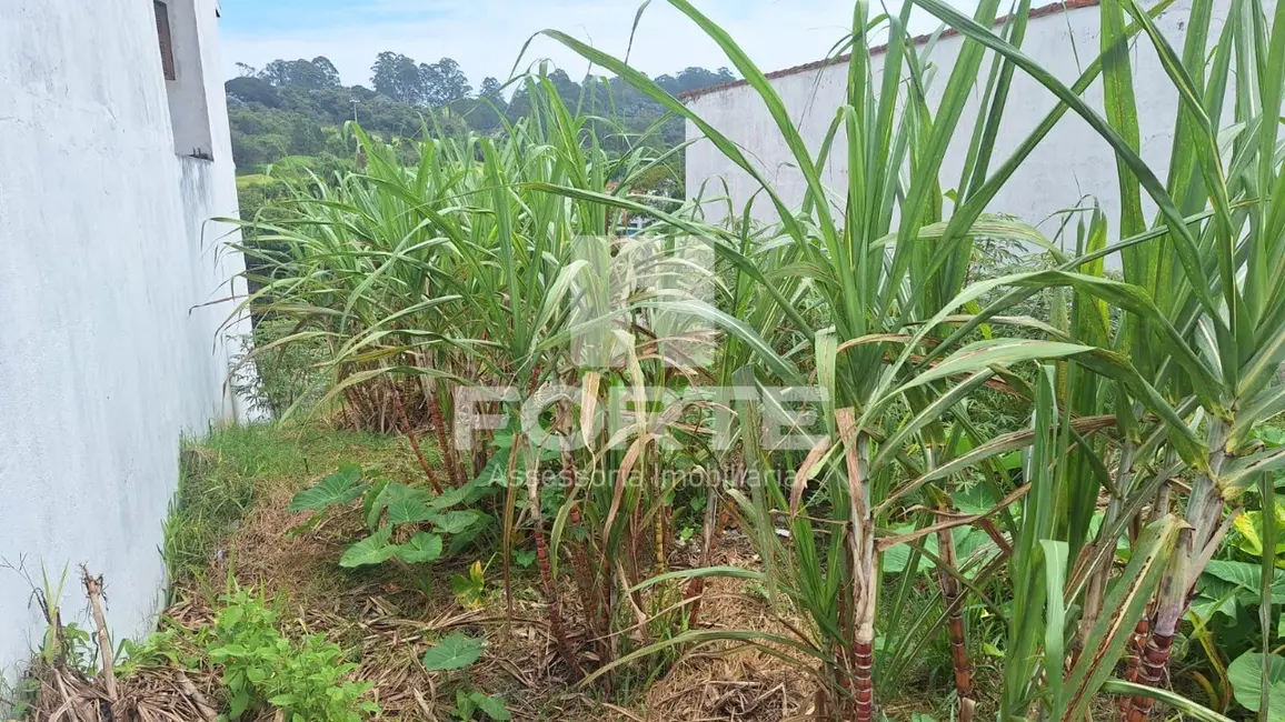 Foto 4 de Terreno / Lote à venda, 250m2 em Cézar de Souza, Mogi Das Cruzes - SP