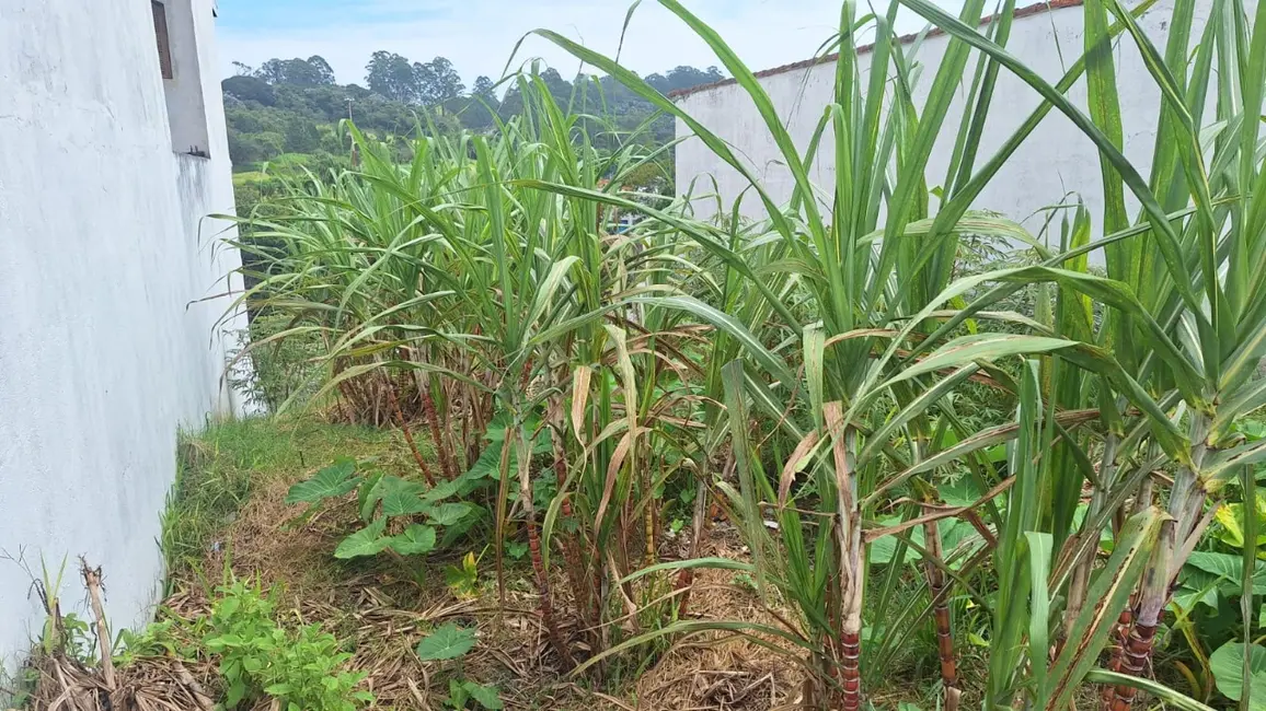 Foto 4 de Terreno / Lote à venda, 250m2 em Cidade Jardim, Mogi Das Cruzes - SP