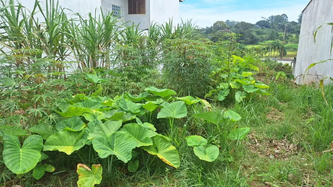 Foto 3 de Terreno / Lote à venda, 250m2 em Cidade Jardim, Mogi Das Cruzes - SP