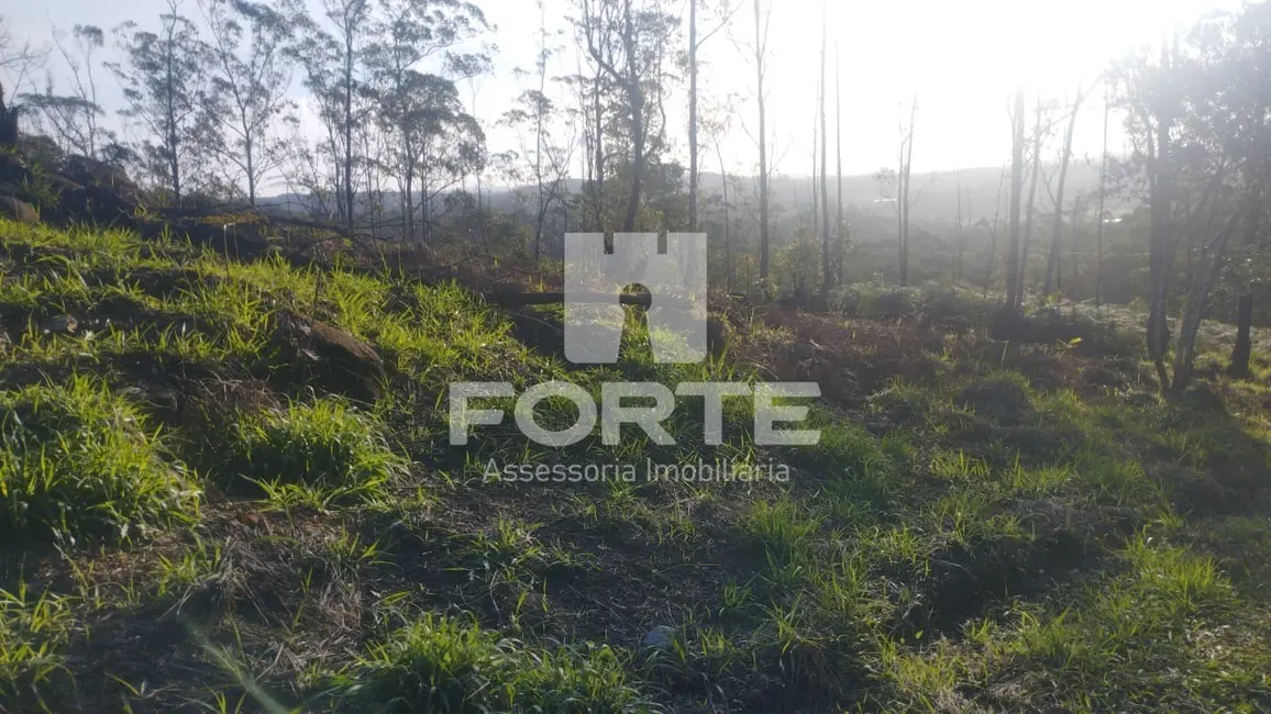 Foto 1 de Terreno / Lote à venda, 1000m2 em Taiaçupeba, Mogi Das Cruzes - SP