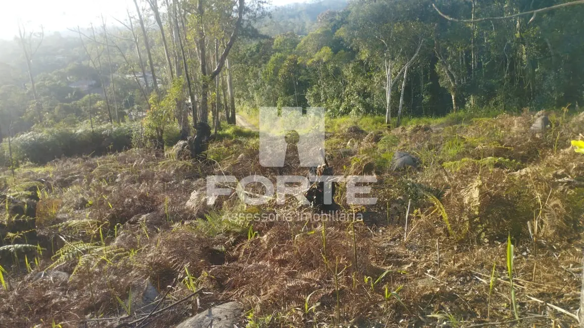 Foto 4 de Terreno / Lote à venda, 1000m2 em Taiaçupeba, Mogi Das Cruzes - SP