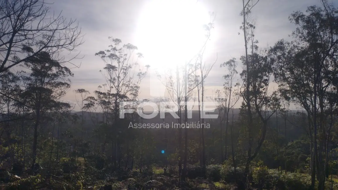 Foto 5 de Terreno / Lote à venda, 1000m2 em Taiaçupeba, Mogi Das Cruzes - SP