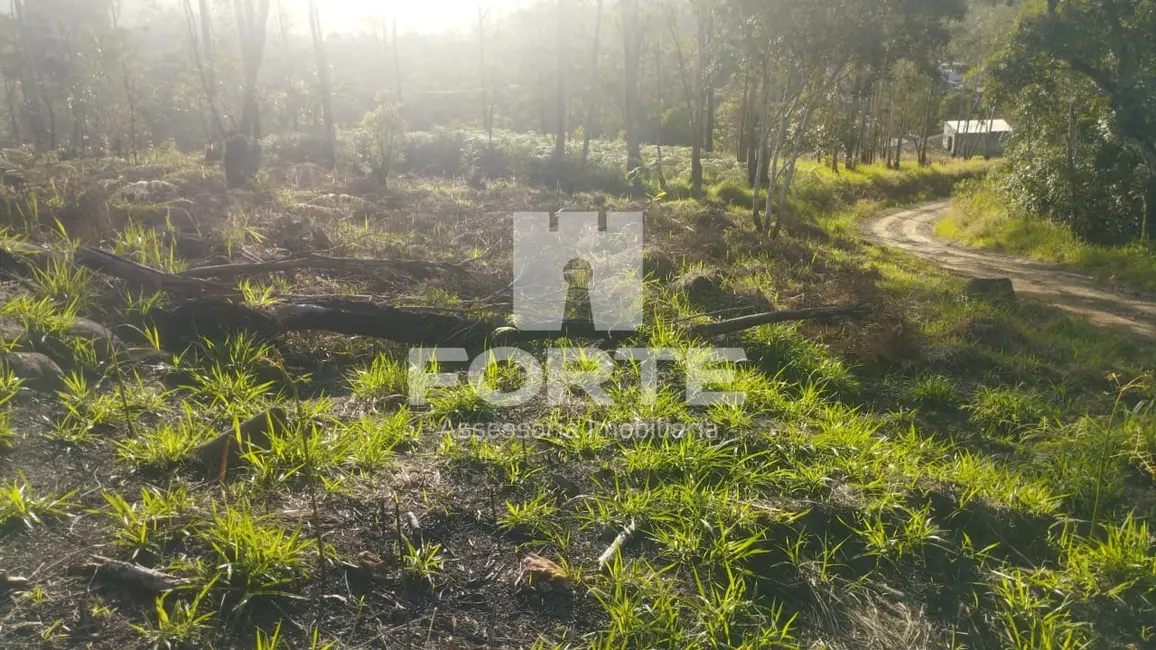 Foto 2 de Terreno / Lote à venda, 1000m2 em Taiaçupeba, Mogi Das Cruzes - SP