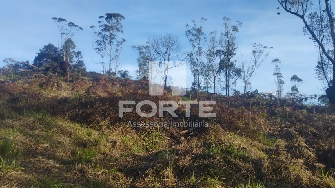 Foto 7 de Terreno / Lote à venda, 1000m2 em Taiaçupeba, Mogi Das Cruzes - SP