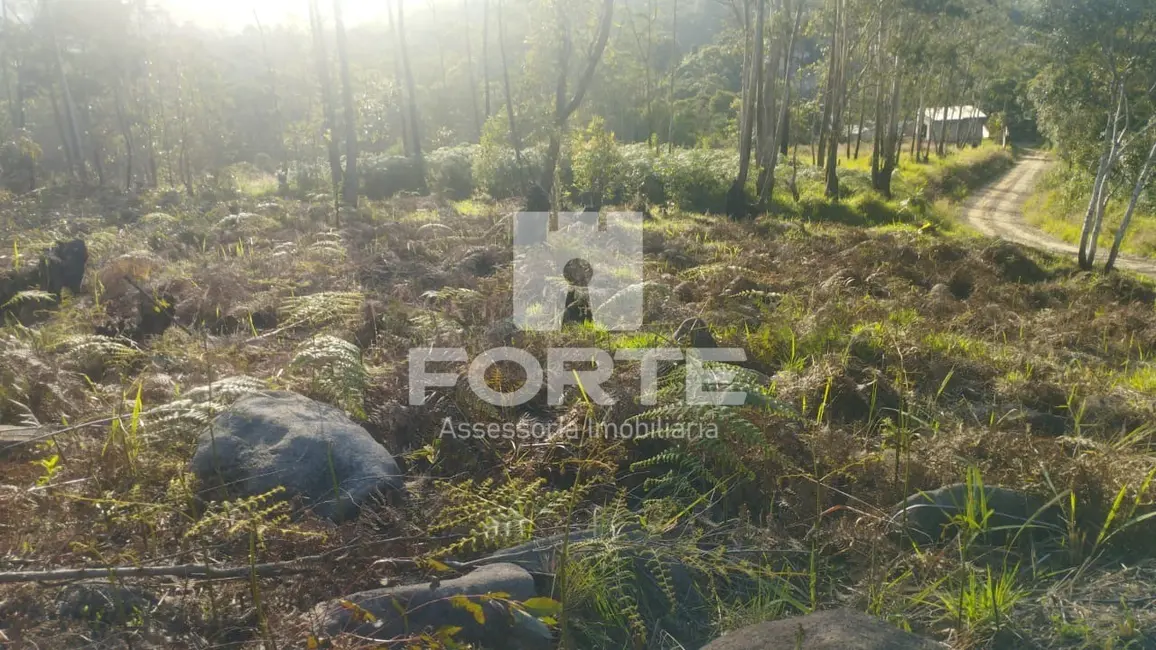 Foto 6 de Terreno / Lote à venda, 1000m2 em Taiaçupeba, Mogi Das Cruzes - SP