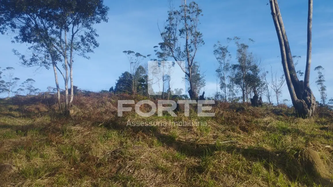 Foto 8 de Terreno / Lote à venda, 1000m2 em Taiaçupeba, Mogi Das Cruzes - SP