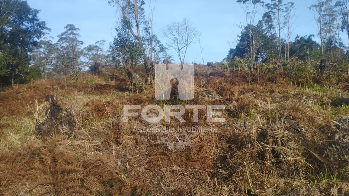 Foto 9 de Terreno / Lote à venda, 1000m2 em Taiaçupeba, Mogi Das Cruzes - SP