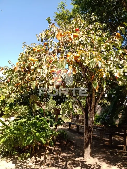 Chácara com 3 quartos à venda, 250m2 em Jardim Aracy, Mogi Das Cruzes - SP - imagem 6 Foto 6 de Chácara com 3 quartos à venda, 250m2 em Jardim Aracy, Mogi Das Cruzes - SP