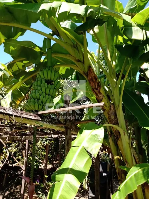 Chácara com 3 quartos à venda, 250m2 em Jardim Aracy, Mogi Das Cruzes - SP - imagem 4 Foto 4 de Chácara com 3 quartos à venda, 250m2 em Jardim Aracy, Mogi Das Cruzes - SP
