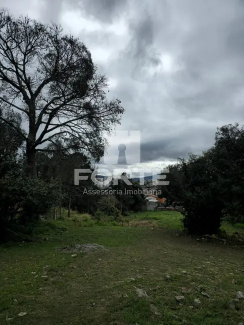 Foto 2 de Terreno / Lote à venda e para alugar, 5000m2 em Vila Cintra, Mogi Das Cruzes - SP