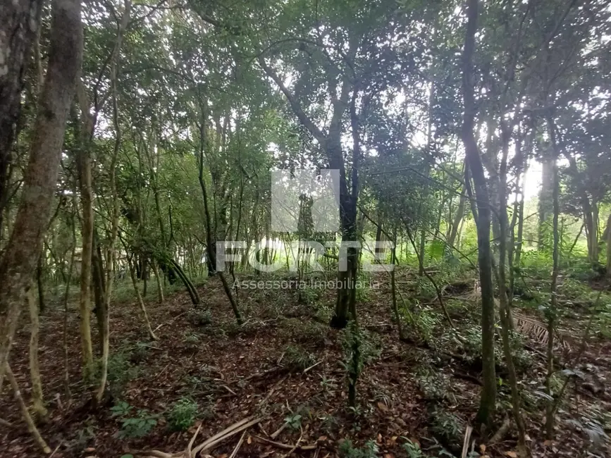 Foto 6 de Terreno / Lote à venda, 27000m2 em Porteira Preta, Mogi Das Cruzes - SP