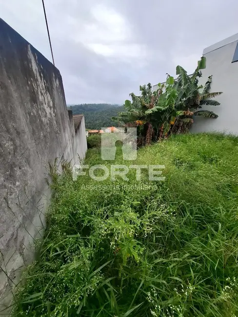 Foto 2 de Terreno / Lote à venda, 290m2 em Santa Isabel - SP
