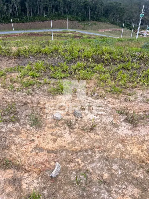 Foto 7 de Terreno / Lote à venda, 250m2 em Cézar de Souza, Mogi Das Cruzes - SP