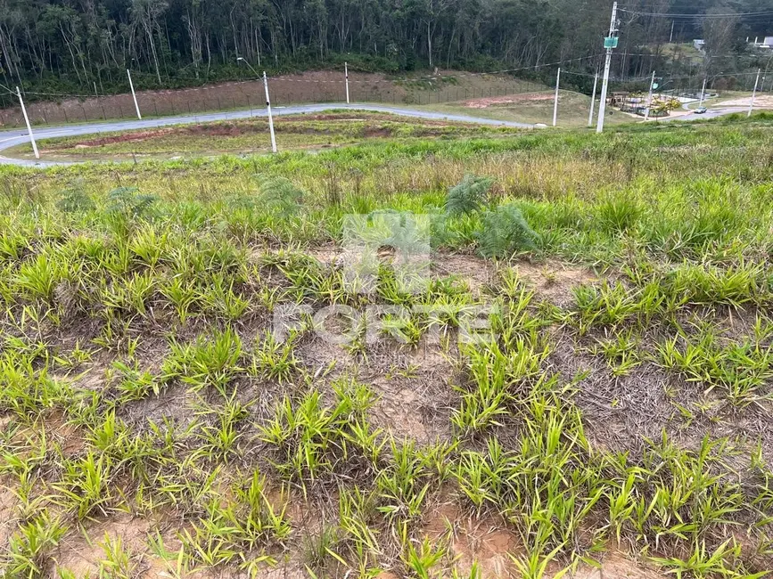 Foto 4 de Terreno / Lote à venda, 250m2 em Cézar de Souza, Mogi Das Cruzes - SP