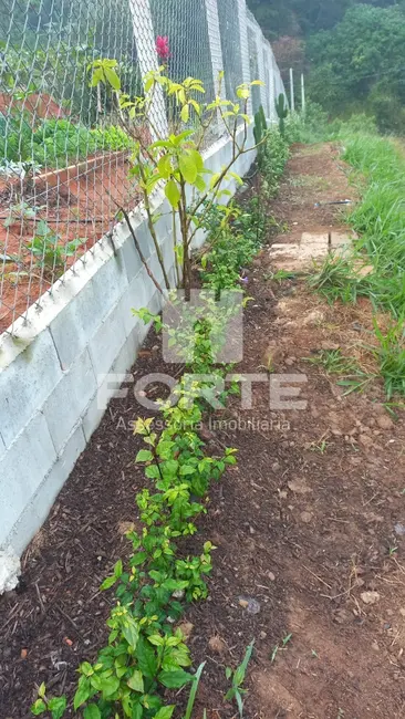 Foto 3 de Terreno / Lote à venda, 1000m2 em Santa Isabel - SP