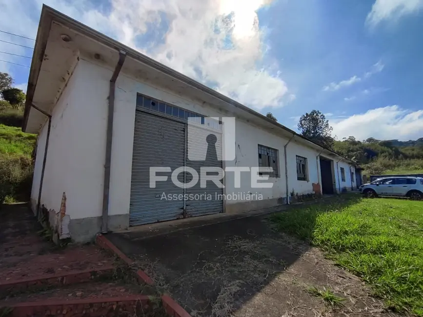 Foto 3 de Sítio / Rancho com 3 quartos à venda, 75000m2 em Volta Fria, Mogi Das Cruzes - SP