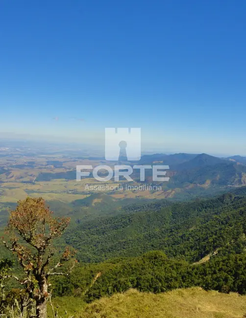 Foto 7 de Fazenda / Haras com 4 quartos à venda, 200m2 em Chácara da Galega, Pindamonhangaba - SP
