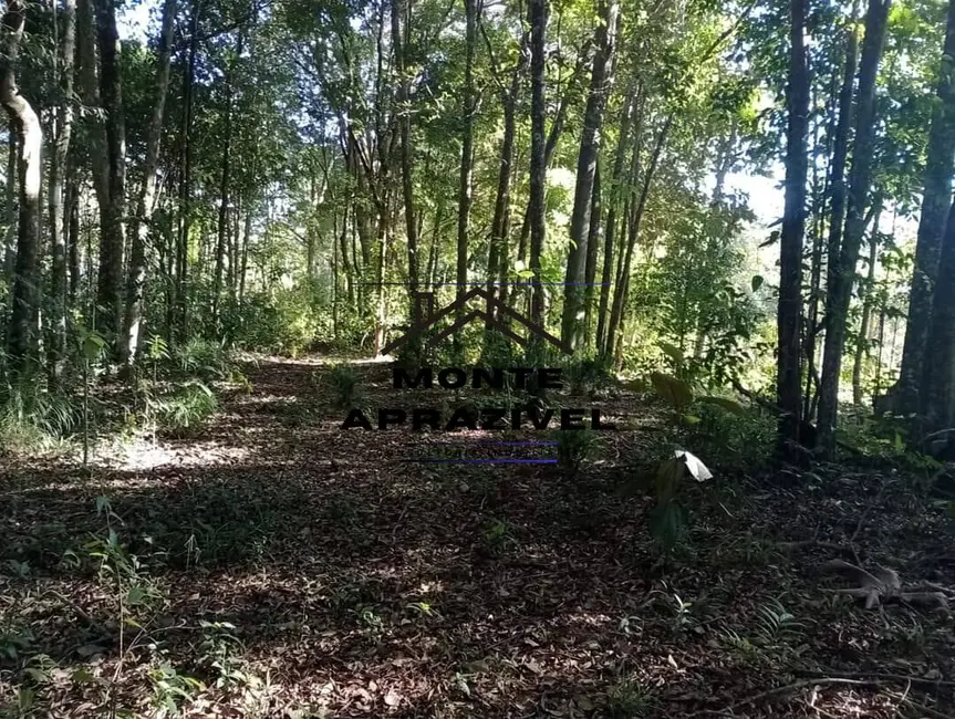 Foto 7 de Terreno / Lote à venda, 5000m2 em Estância Angelina, Suzano - SP