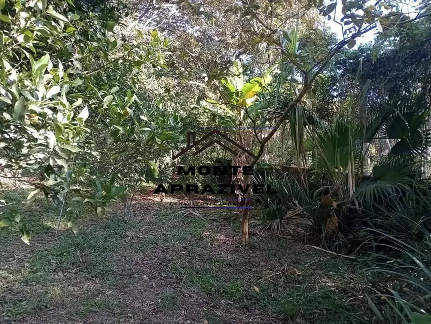 Foto 3 de Terreno / Lote à venda, 5000m2 em Estância Angelina, Suzano - SP