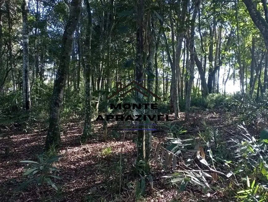 Foto 9 de Terreno / Lote à venda, 5000m2 em Estância Angelina, Suzano - SP