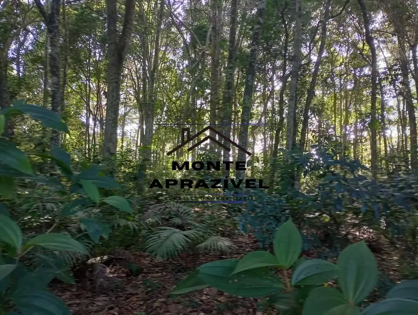 Foto 5 de Terreno / Lote à venda, 5000m2 em Estância Angelina, Suzano - SP