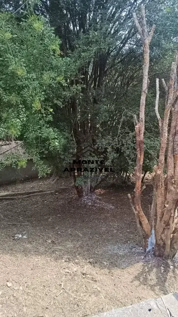 Foto 4 de Chácara com 2 quartos à venda, 1469m2 em Vila Costa, Suzano - SP