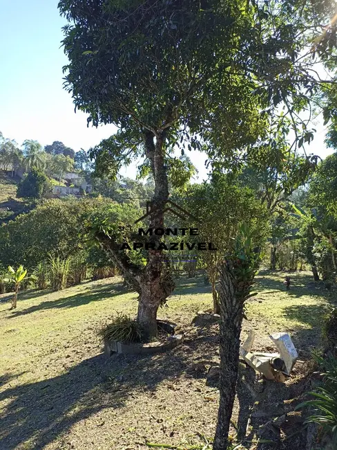 Foto 3 de Chácara com 1 quarto à venda, 4200m2 em Jardim Ana Rosa (Palmeiras), Suzano - SP