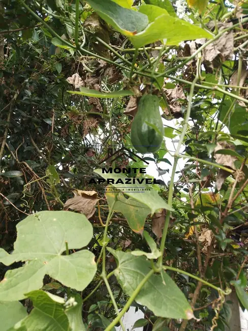 Foto 6 de Chácara com 3 quartos à venda, 800m2 em Palmeiras de São Paulo, Suzano - SP